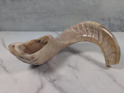 Polished 8" Authentic Ram’s Horn Shofar Musical Instrument