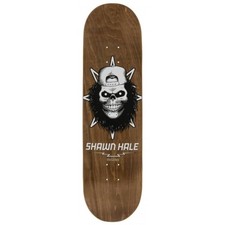 Tavola da Skate Birdhouse Pro Deck Hale Skull Brown 8.5'' + Grip