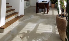 Kuhfell blond großer Teppich ca. 180-200cm