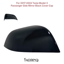 Passenger Side Mirror Covers Cap For 2017-2024 TESLA MODEL 3 Black Skull Left