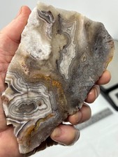 Mexican Laguna Crazy Lace Agate Slab Cabbing Collecting Combo Ship Avail