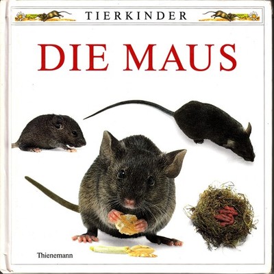 Tierkinder DIE MAUS Fotos Barrie Watts Thienemann 1992 illustriert sehr gut