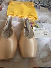 Gaynor Minden Pointe Shoes