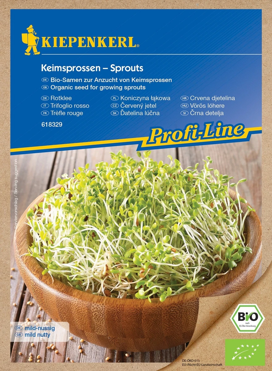 knstliche erbsenpflanze Senecio Erbsenpflanze Knstlich - Knstliche Pflanzen