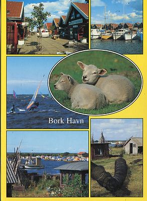 Alte Postkarte - Bork Havn