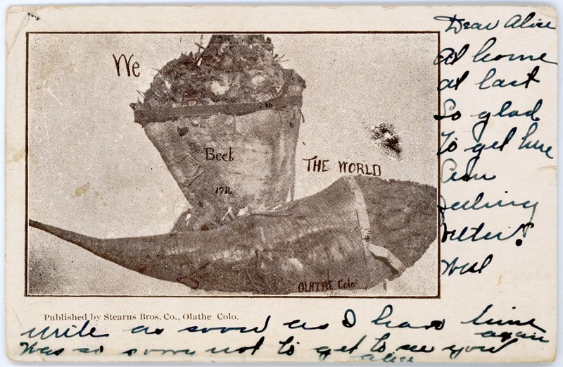 Antique 1908 Agriculture Postcard Root Vegetable We Beet The World in Olathe CO