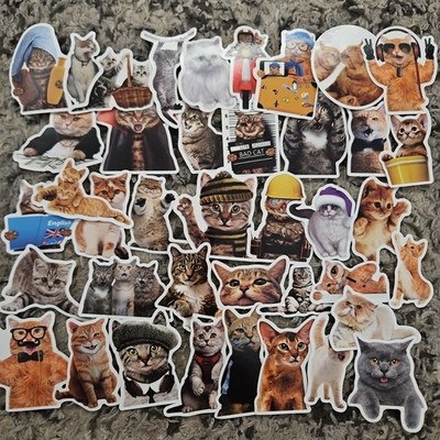 40pc Waterproof Vinyl Stickers Cute Funny Cats Luggage Phone Laptop Water Bottle