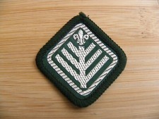 UK Scouting Discontinued 1980's Scout Standard Award