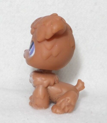 Littlest Pet Shop – Chien Caniche Brun Et Blanc #37, Yeux Mauves, Occasion