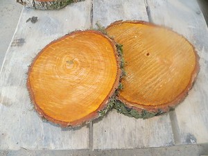 Holzscheibe 13-15 cm 10 Baumscheiben Erle