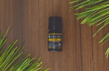 Vetiver Essential Oil, CERTIFIED ORGANIC, 5 ML, BARE OILS, 100% Pure Therapeutic