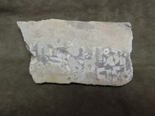 Cut Slice Fossil Rock Piece Limestone Ancient Artifact not gemstone