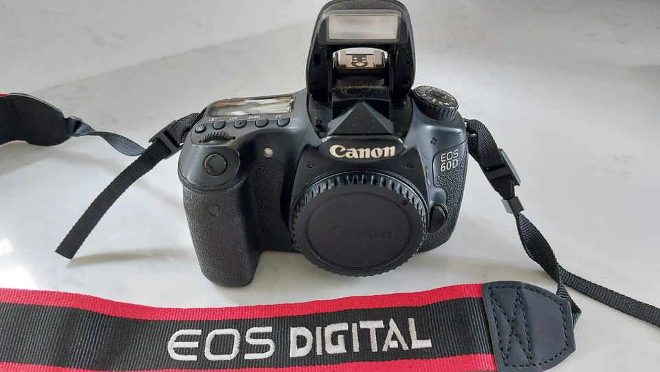 Canon EOS 60D, photo 4 of 5