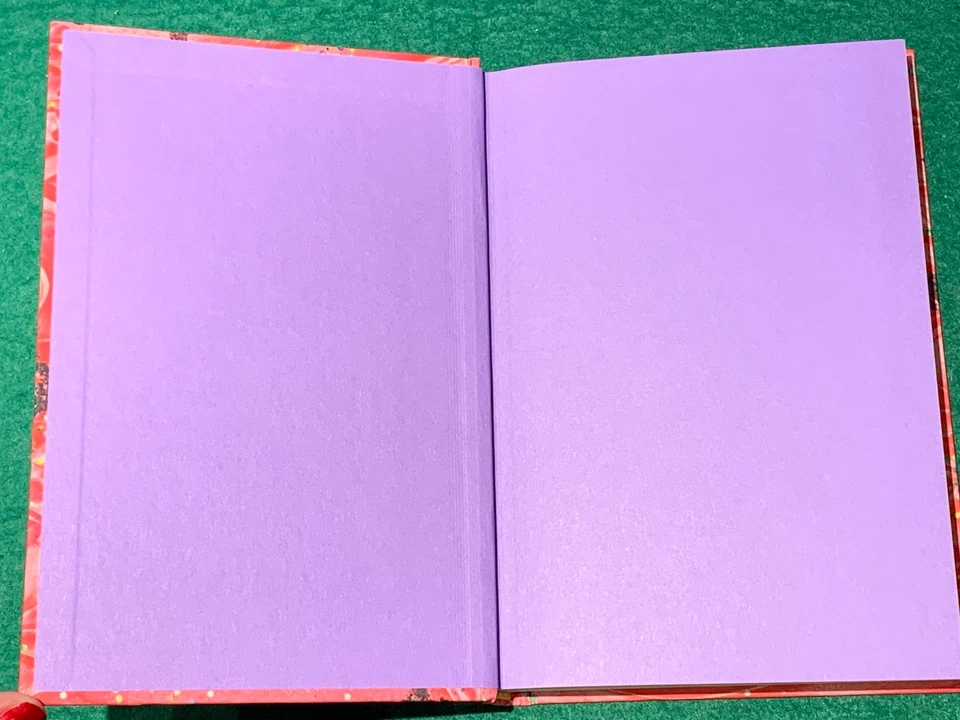 Diary of A Wimpy Kid #20 Partypooper by Jeff Kinney SIGNED 1st/1st HC 2025 - Image 2 of 4