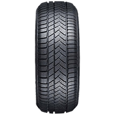 APTANY Winterreifen 205/50 R17 TL 93V RW211 XL M+S 3PMSF