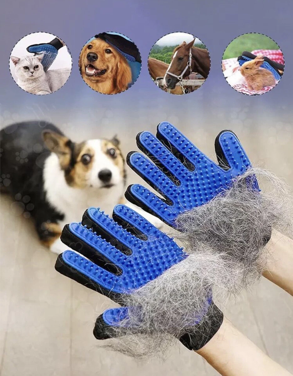 Pet Hair Removal Glove