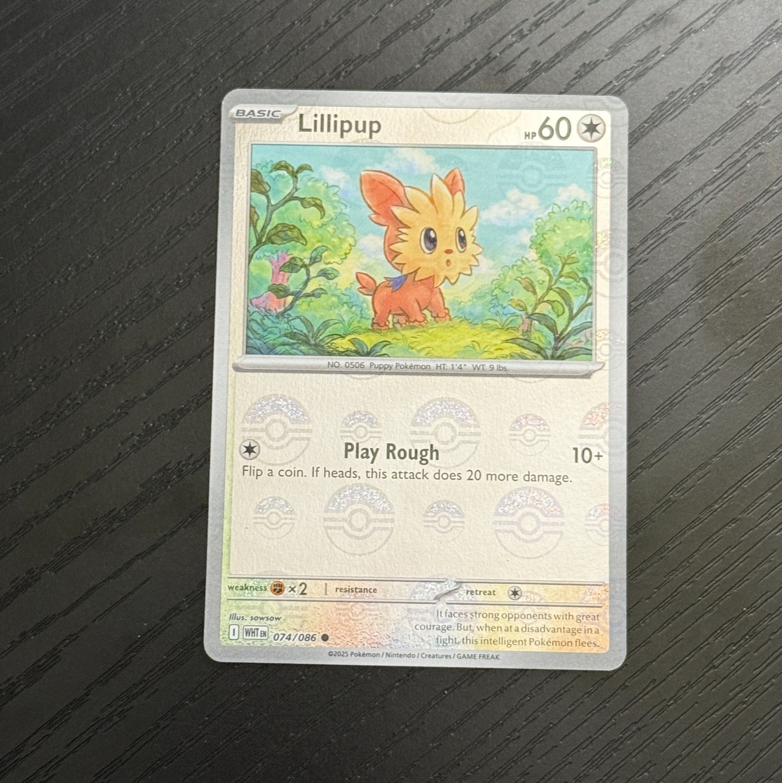 Lillipup (Poke Ball Pattern) 074/086 Sv: White Flare Holo POKEMON NEAR MINT