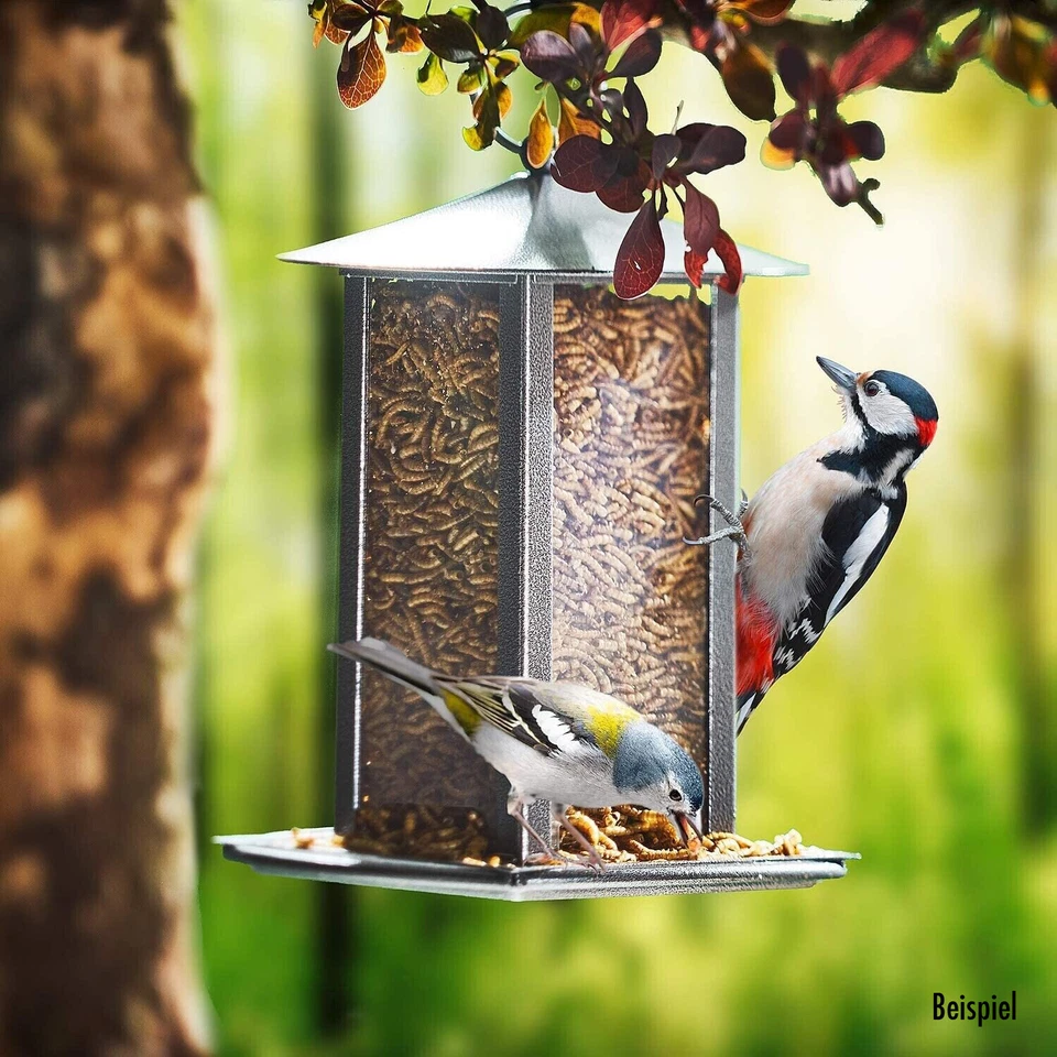 Mehlwürmer getrocknet für Igel Hamster Vögel Aufzucht Premium von Paul's Mühle - Bild 3 von 3