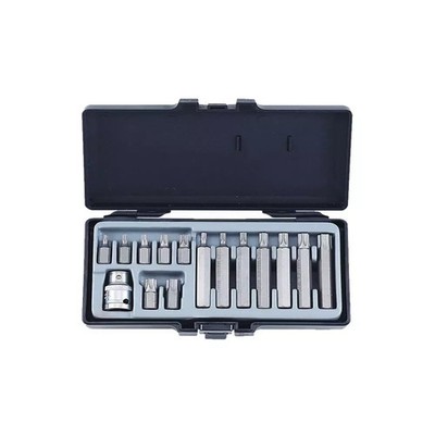 Bit Satz Torx 15 tlg