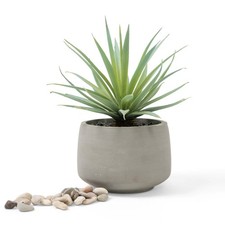 Artificial Plant | 7" high Fake Plant | Artificial Succulent in Pot | Fake Su...