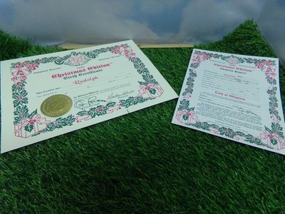 XAVIER ROBERTS CABBAGE PATCH SCULPTURE  XMAS 93ED RUDOLPH ADOPT/BIRTH CERT PIC 1