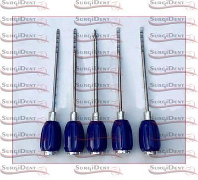 Orthopedics Spine Bone Awl Prods Set 5 PC Surgical Spine Surgery Instruments Set