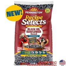 Black Oil Sunflower Seed 40lbs No Hulls Vitamin Enriched Wild Bird Feed