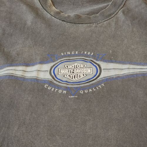 Vintage Harley Davidson Tee 3XL 2003 Fresno California Hanes Beefy Tees Rare - Picture 3 of 13
