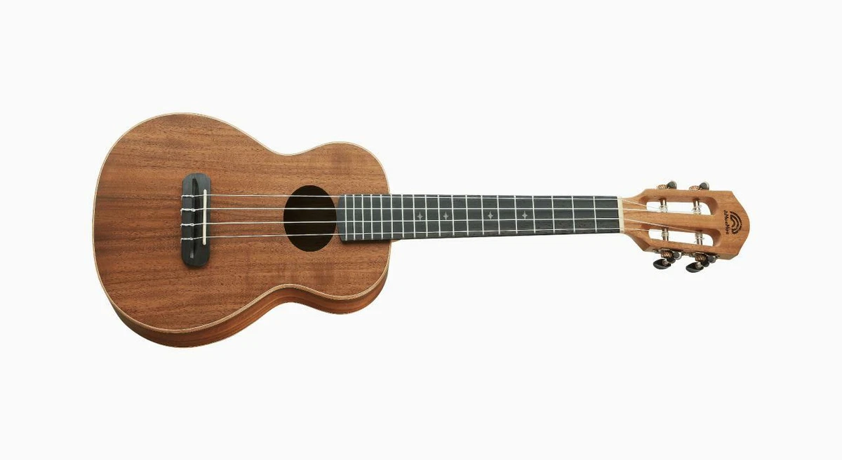 Anuenue 2024 concert ukulele