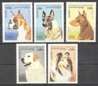 (178584) Dogs, Cambodia