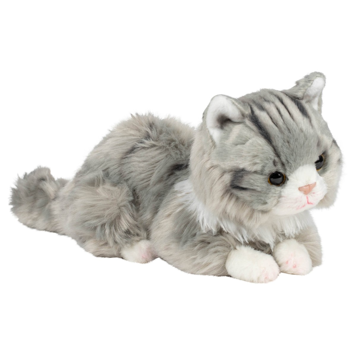 Rode Maine Coon Kat Zittend Met Pluimstaart Geïsoleerd Op Zwart Stock