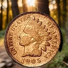 1905 Indian Head Cent Actual Coin Shown - 5