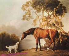 MQ-OP0651 Handmade Painted Strong Horse With Dog Art Oil Painting Canvas