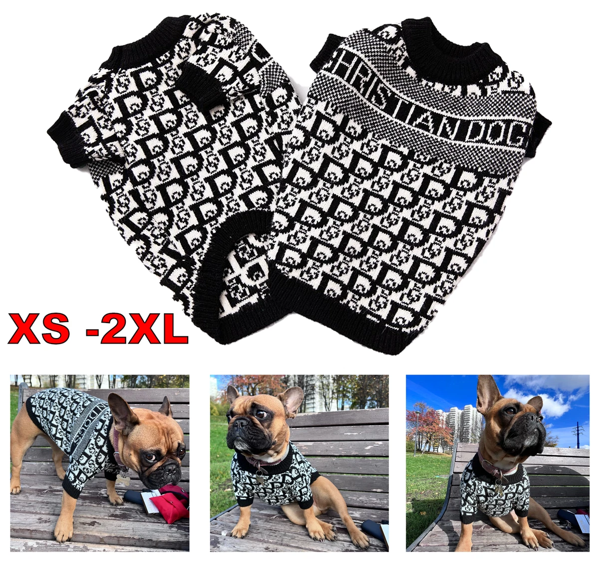 fashion designer dog clothes