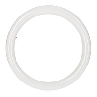 Ledvance G10Q LED Ringform Substitube Neutralweiß Tube Osram ST9-32 20W/840