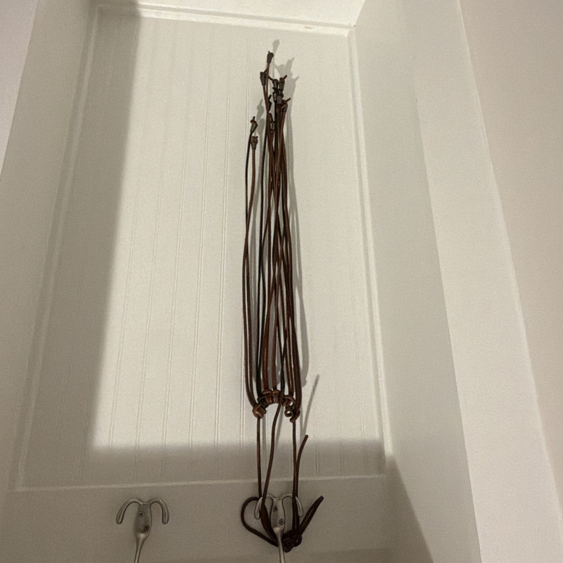 Brown Leather Split Horse Reins - Reins Model