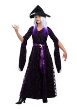 Womens Purple Moon Witch Costume