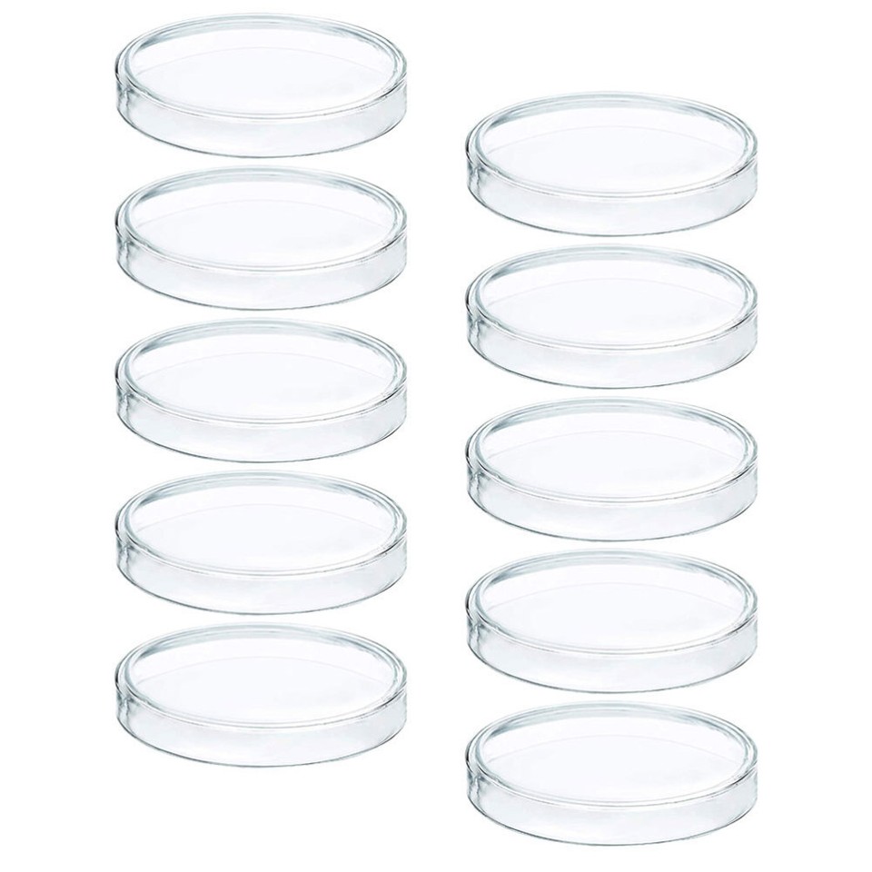 10Pcs Laboratory Chemistry Petri Plates Petri Trays Agar Dishes eBay