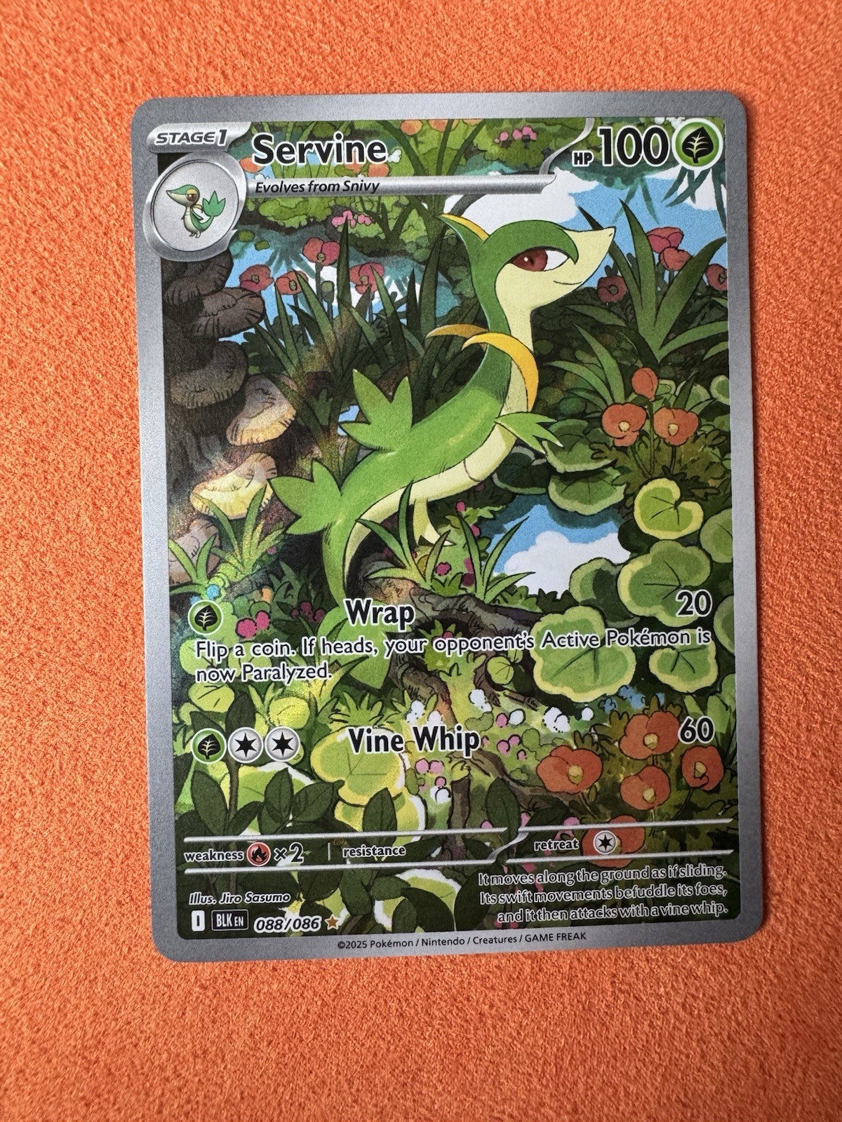 Pokemon TCG Black Bolt Servine Illustration Rare 88/86