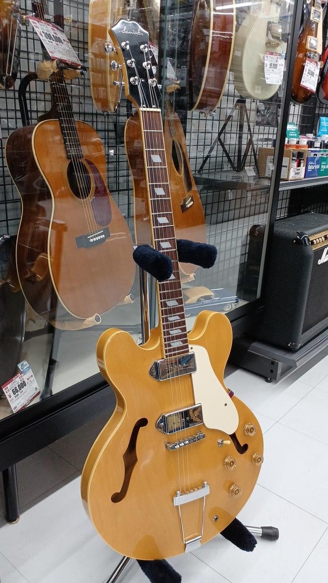 The Samick エレキギター フルホロウボディ The Samick エレキギター フルホロウボディ