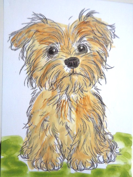 Dogs ACEO by vaneddie_art_studio