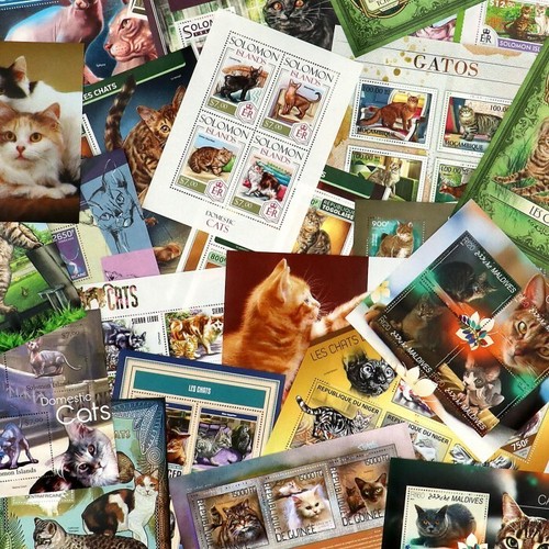 THEMATICS LOT - CATS 35 DIFF SETS MNH ** B - 第 1/1 張圖片