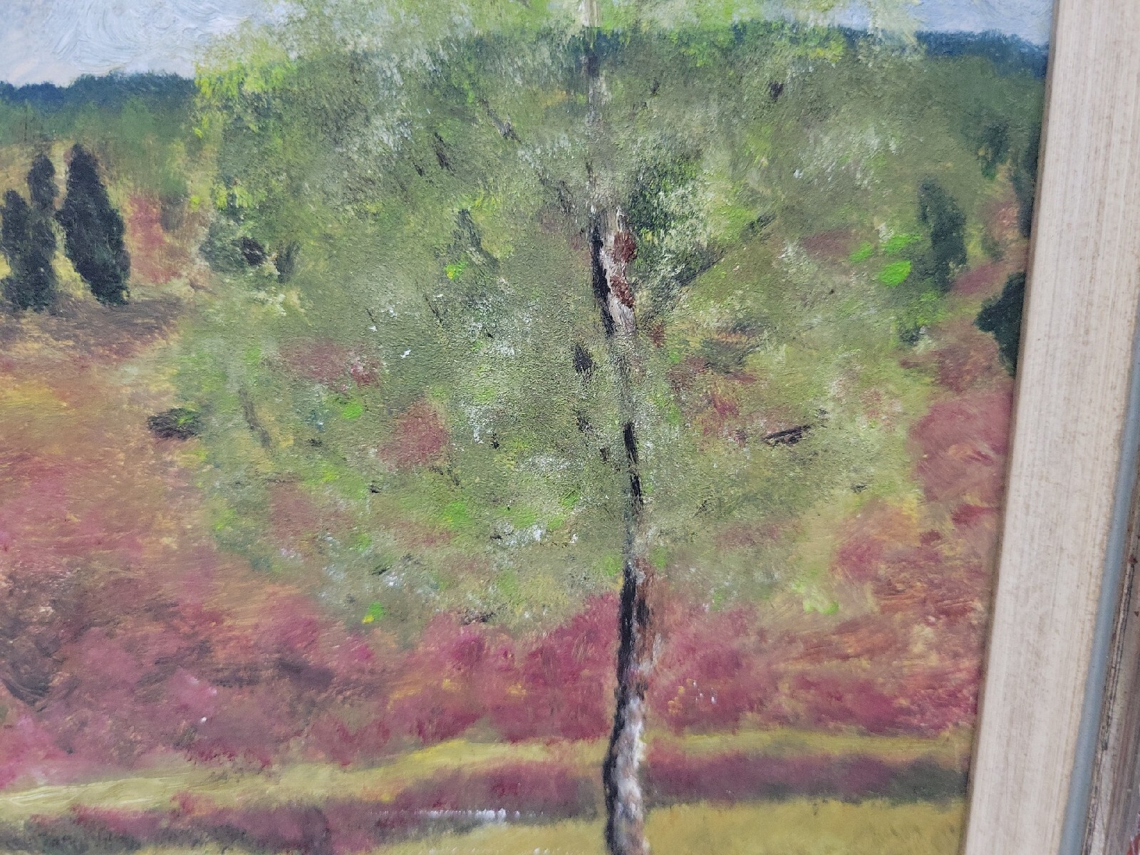 Picture 9 of 24
