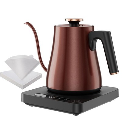 Gooseneck Electric Kettle with Temperature Control, 1.0L Pour Over Coffee Ket...