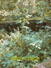 Photo 6x4 Brick-built structures north of the sewage tanks The remains of c2014