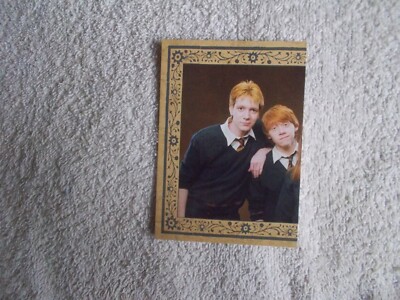 Panini: Harry Potter Evolution 2022 ''THE WEASLEYS'' #233 Trading Card
