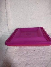 Tupperware Chip & Dip Container 