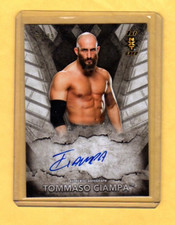 2017 Topps WWE NXT Wrestling Cards 10
