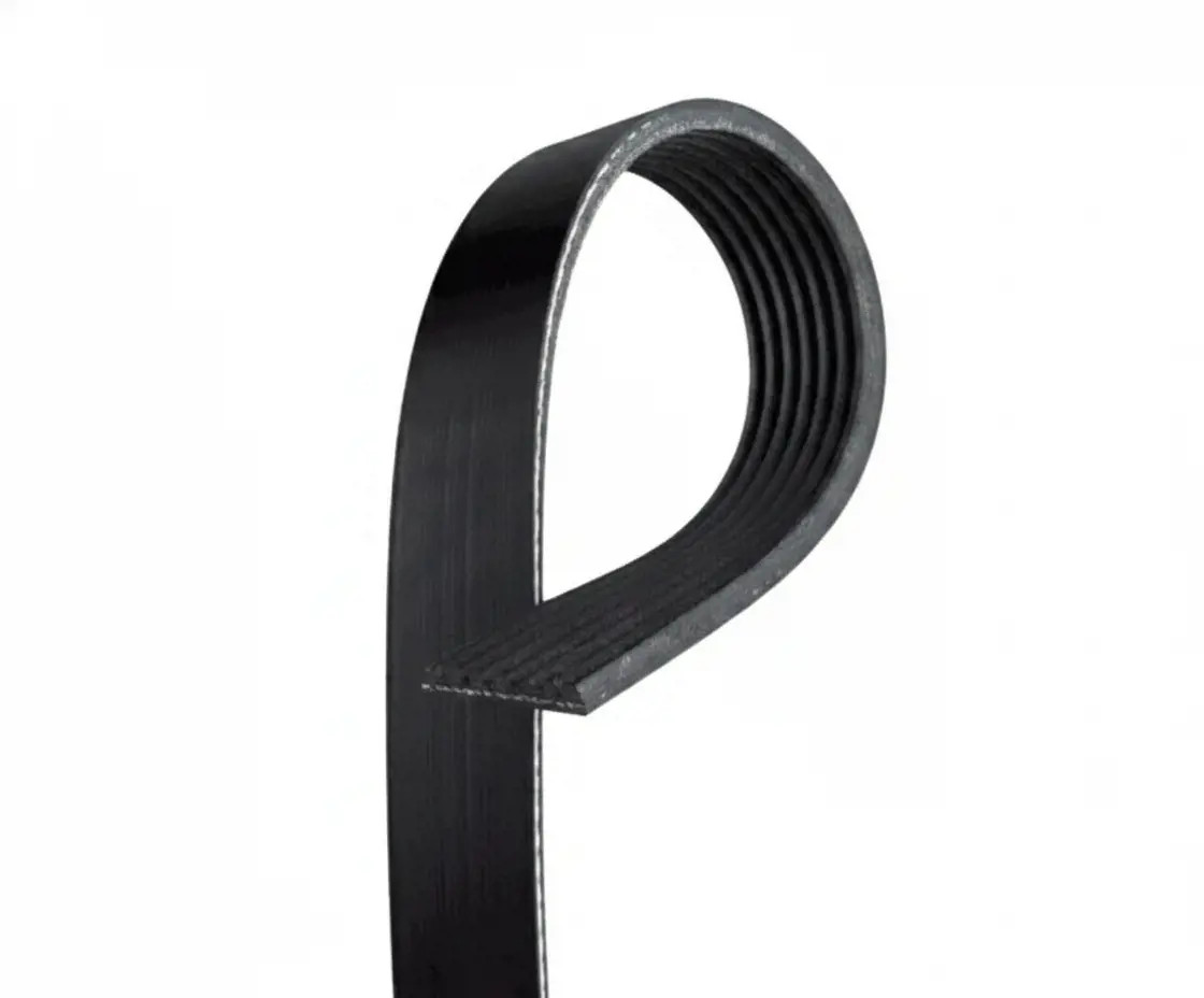 Nero Cinghia Poly-V Gates 7Pk1090est - Immagine 2