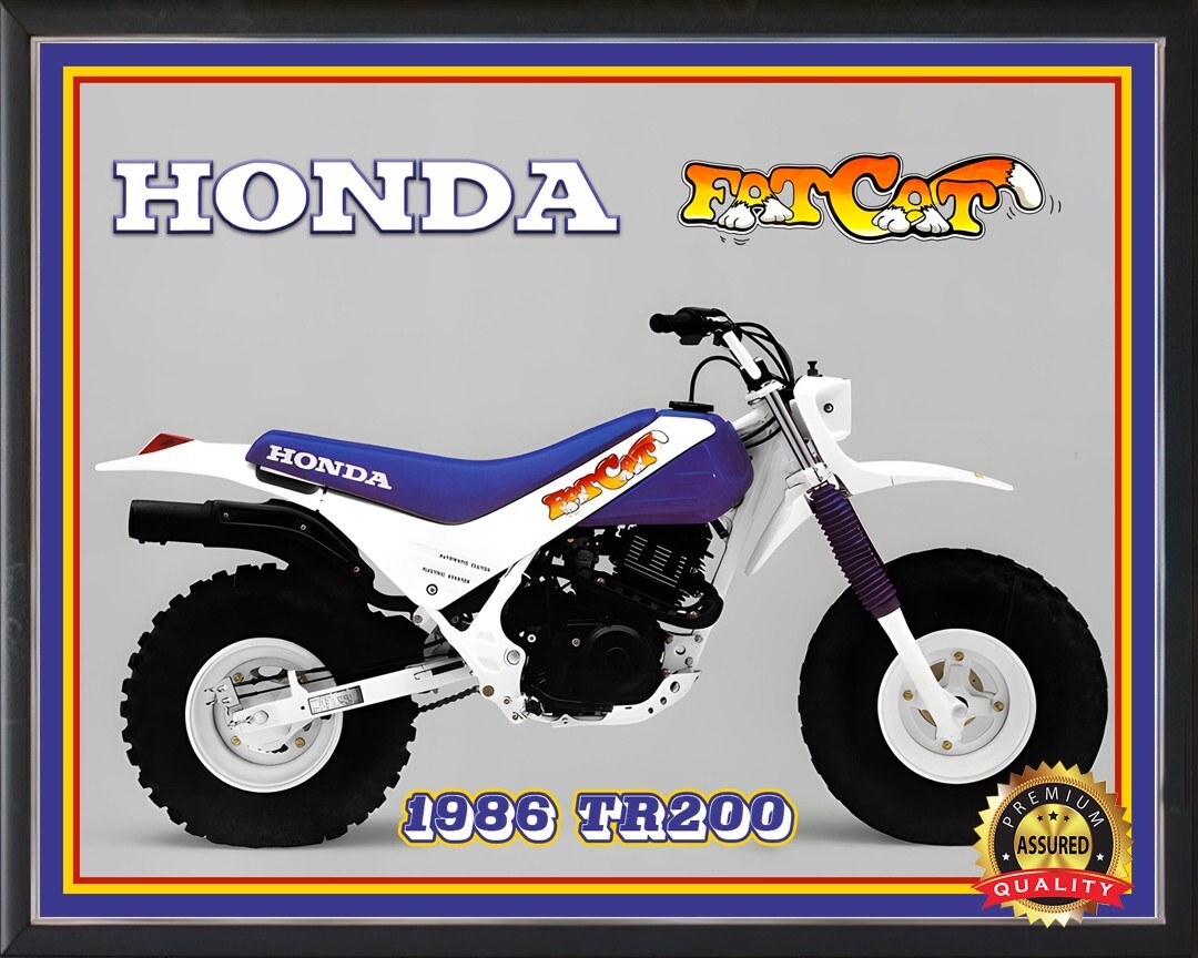 Honda Motorcycle - 1986 TR200 Fat Cat - Metal Sign 11 x 14 | eBay